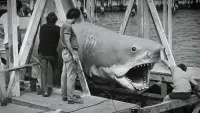 Backdrop to the movie "Jaws @ 50: The Definitive Inside Story" #819698