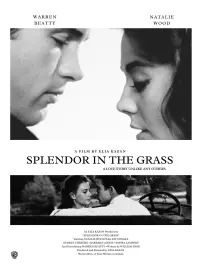 Poster to the movie "Splendor in the Grass" #1143504