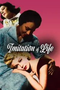 Poster to the movie "Imitation of Life" #1042032