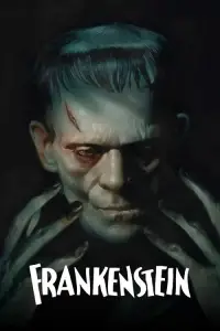 Poster to the movie "Frankenstein" #641103