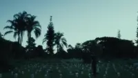 Backdrop to the movie "Lágrimas Holandesas" #780636