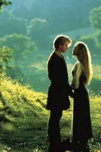 Poster to the movie "The Princess Bride" #1061009