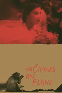 Poster to the movie "The Cranes Are Flying" #181586