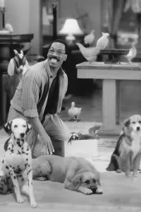 Poster to the movie "Doctor Dolittle" #780457