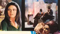 Backdrop to the movie "Shadow of Illusion" #895955