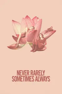Poster to the movie "Never Rarely Sometimes Always" #1043990
