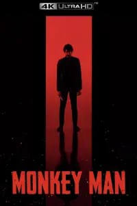 Poster to the movie "Monkey Man" #936309