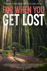 Poster to the movie "For When You Get Lost" #1035880