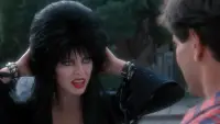 Backdrop to the movie "Elvira, Mistress of the Dark" #889683