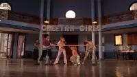 Backdrop to the movie "The Cheetah Girls 2" #708640