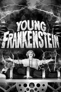 Poster to the movie "Young Frankenstein" #1021432