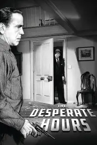 Poster to the movie "The Desperate Hours" #719500