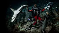 Backdrop to the movie "700 Sharks" #745670