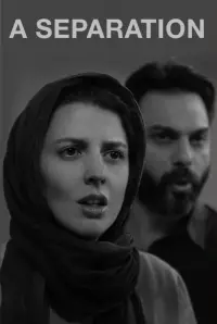 Poster to the movie "A Separation" #1028723