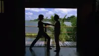 Backdrop to the movie "The Karate Kid Part II" #741854