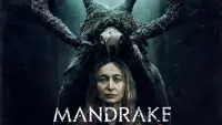 Backdrop to the movie "Mandrake" #954065