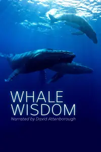 Poster to the movie "Whale Wisdom" #1165858
