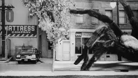 Backdrop to the movie "Earth vs. the Spider" #786998