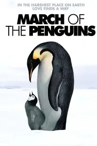 Poster to the movie "March of the Penguins" #966008
