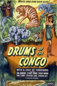 Poster to the movie "Drums of the Congo" #1145742