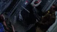 Backdrop to the movie "Snake Eyes" #743086