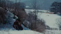 Backdrop to the movie "Snowy Road" #722671