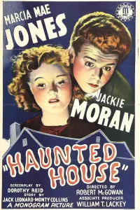 Poster to the movie "Haunted House" #1171607