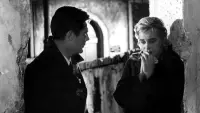 Backdrop to the movie "Le Notti Bianche" #449791