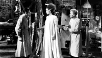 Backdrop to the movie "The Bride of Frankenstein" #671648