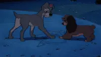 Backdrop to the movie "Lady and the Tramp" #854513
