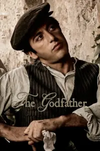 Poster to the movie "The Godfather" #738935