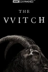 Poster to the movie "The Witch" #600326