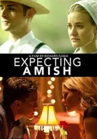 Poster to the movie "Expecting Amish" #972206