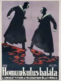 Poster to the movie "The End of the Homunculus" #1130773