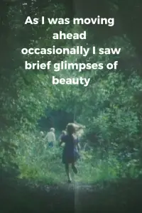 Poster to the movie "As I Was Moving Ahead, Occasionally I Saw Brief Glimpses of Beauty" #993351