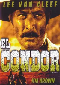 Poster to the movie "El Condor" #1159997