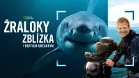 Backdrop to the movie "Sharks Up Close with Bertie Gregory" #802097