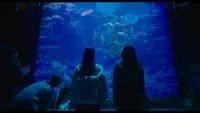 Backdrop to the movie "Soulmate" #831250
