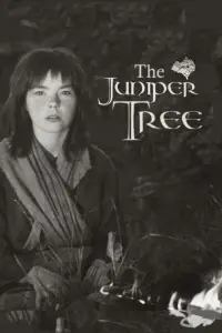 Poster to the movie "The Juniper Tree" #985855
