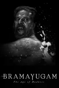 Poster to the movie "Bramayugam" #977951