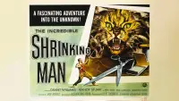 Backdrop to the movie "The Incredible Shrinking Man" #944543