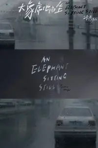Poster to the movie "An Elephant Sitting Still" #1017601