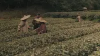 Backdrop to the movie "Tea War: The Adventures of Robert Fortune" #685359