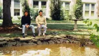 Backdrop to the movie "Rain Man" #742286