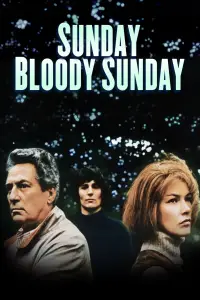 Poster to the movie "Sunday Bloody Sunday" #1115121