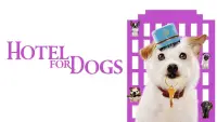Backdrop to the movie "Hotel for Dogs" #964136
