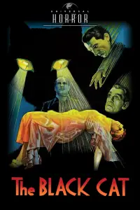 Poster to the movie "The Black Cat" #979714