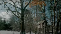 Backdrop to the movie "Treehouse" #767206