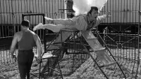 Backdrop to the movie "Circus Angel" #715585