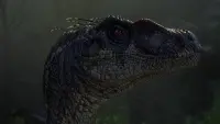 Backdrop to the movie "Jurassic Park III" #740404